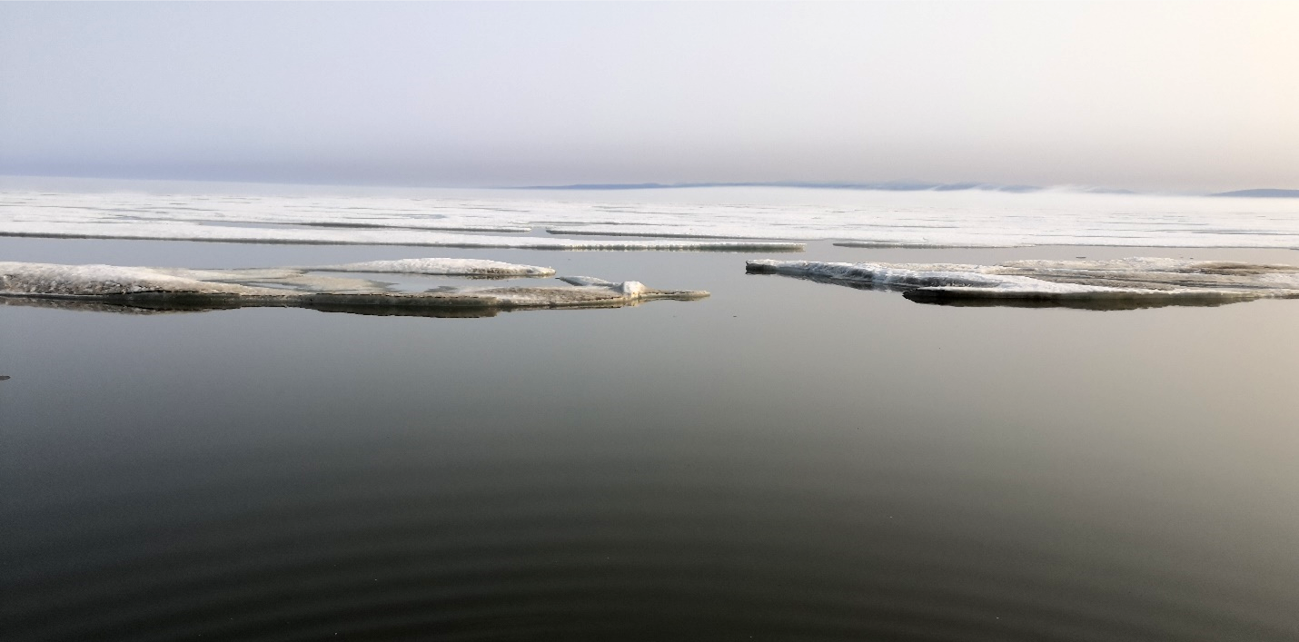 Finally defeated: Sea ice surrounding Herschel Island. ©Anneke Heins