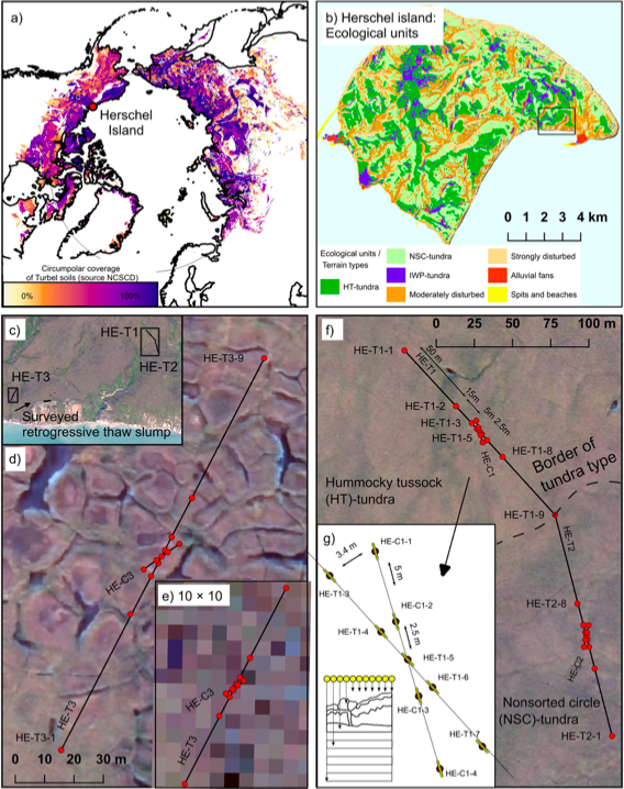 Permafrost Causes Unique FineScale Spatial Variability Across Tundra Soils 1