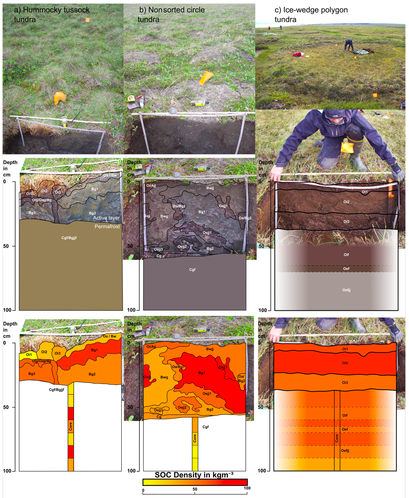 Permafrost Causes Unique FineScale Spatial Variability Across Tundra Soils 2