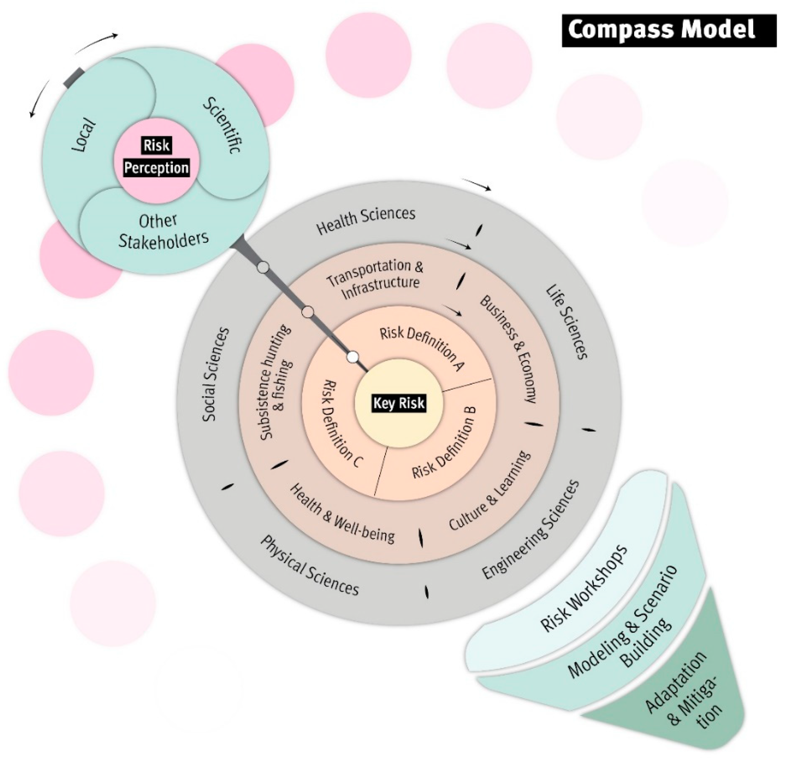 Risk compass model